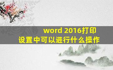 word 2016打印设置中可以进行什么操作